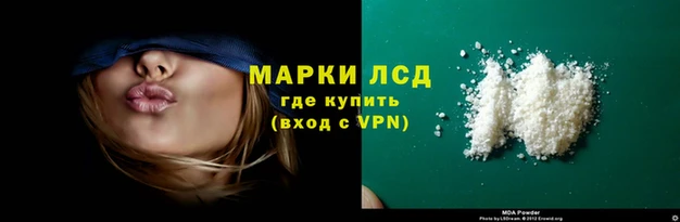 мяу мяу мука Михайлов