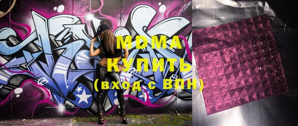 молекула духа Вяземский