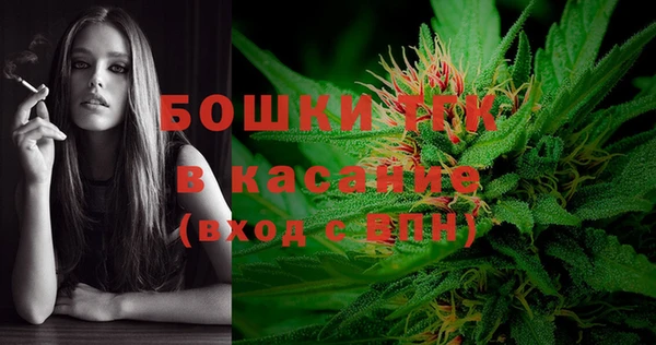 сатива Михайловск
