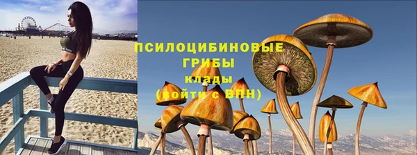 мяу мяу мука Михайлов