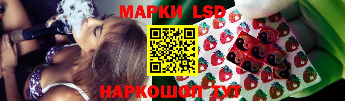 Курчатов  ЛСД экстази кислота  ЛСД экстази кислота  Вход с VPN 