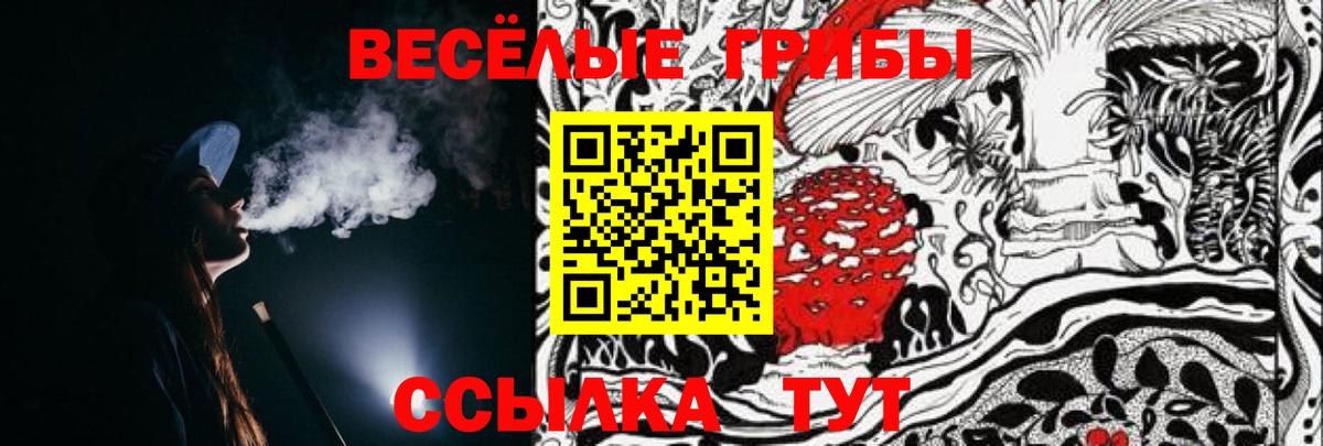 Курчатов  Псилоцибиновые грибы Cubensis  где найти наркотики  Галлюциногенные грибы Magic Shrooms  Вход с VPN 