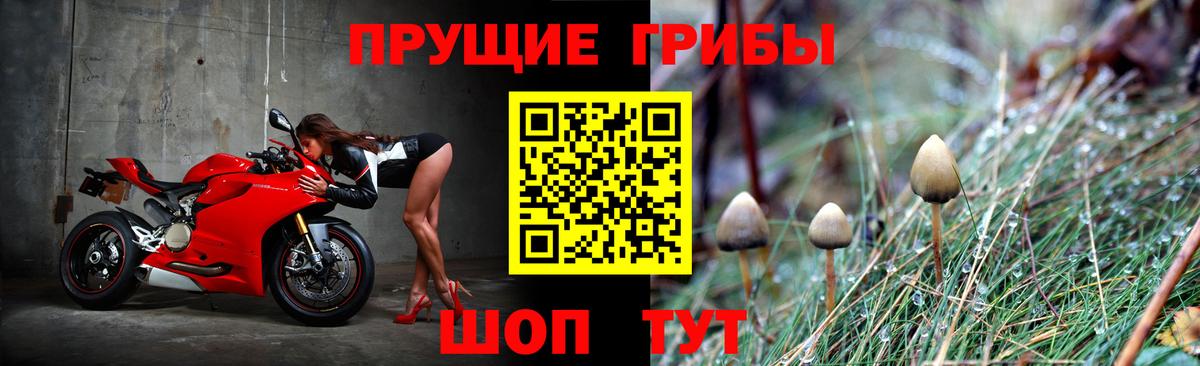 Галлюциногенные грибы Magic Shrooms Курчатов